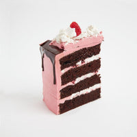 Raspberry & Chocolate Cake